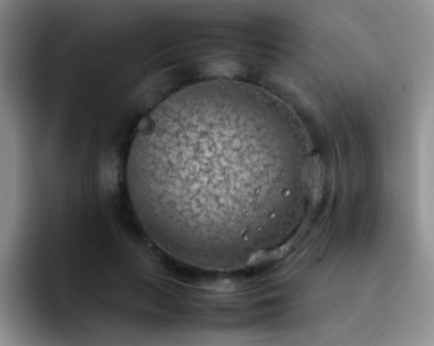 X0000092220647200709141045