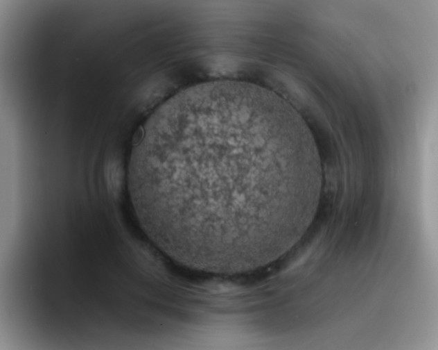 X0000092220648200709141045