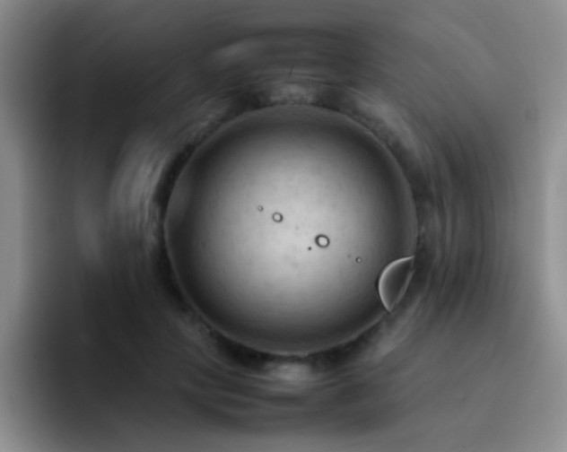 X0000092220649200709141045