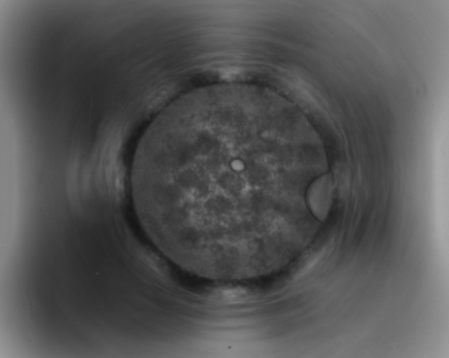 X0000092220650200709141045