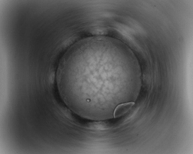 X0000092220652200709141045