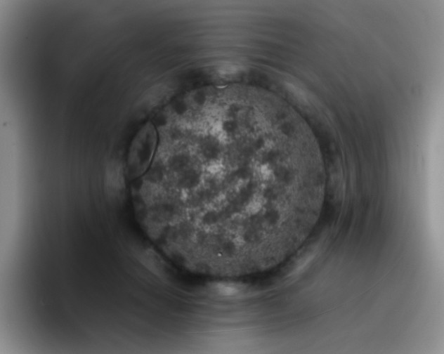 X0000092220654200709141045