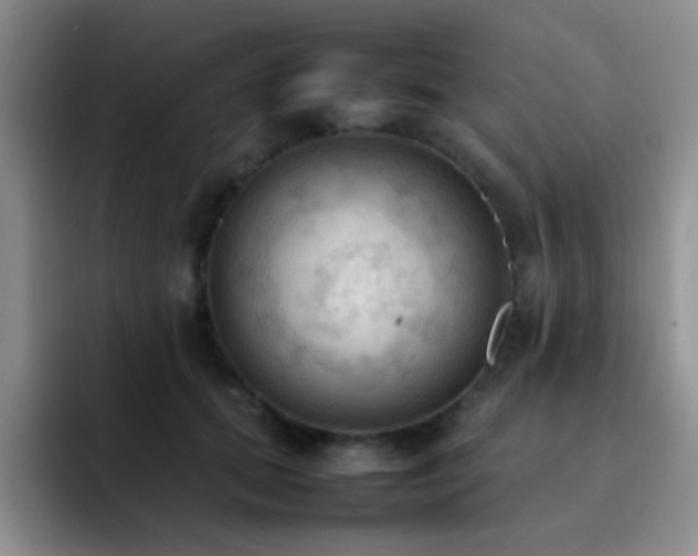 X0000092220655200709141045