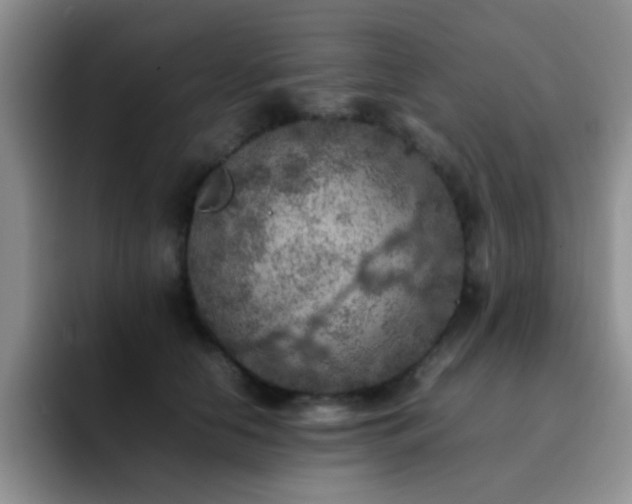 X0000092220658200709141045