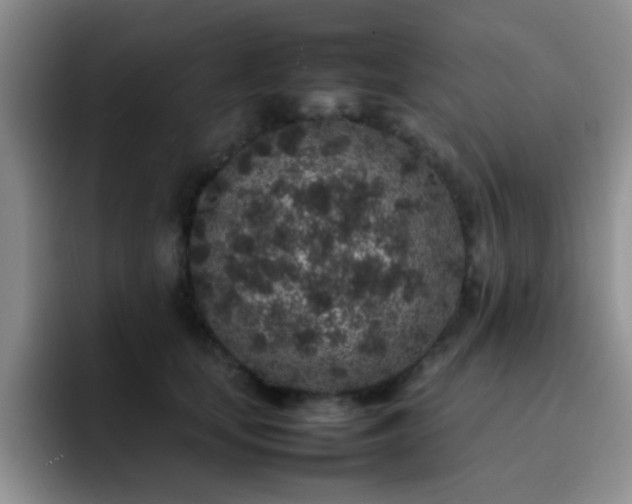 X0000092220659200709141045