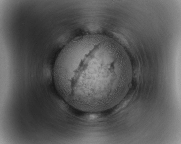 X0000092220662200709141045