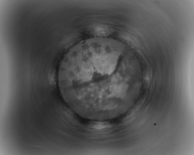 X0000092220663200709141045