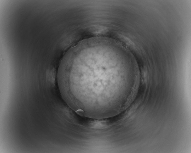 X0000092220664200709141045