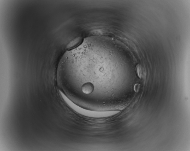 X0000092220665200709141045