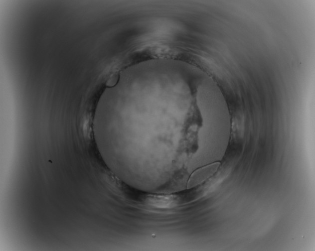 X0000092220671200709141046