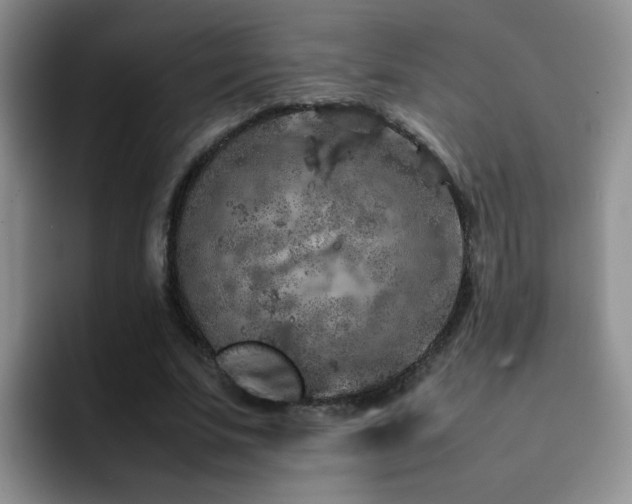 X0000092220679200709141045