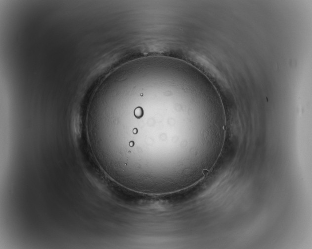 X0000092220683200709141045