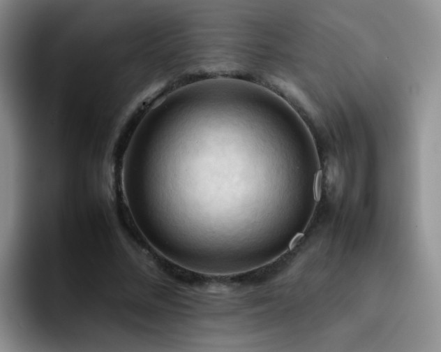 X0000092220684200709141045
