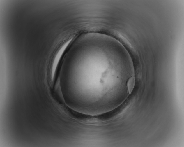 X0000092220685200709141045