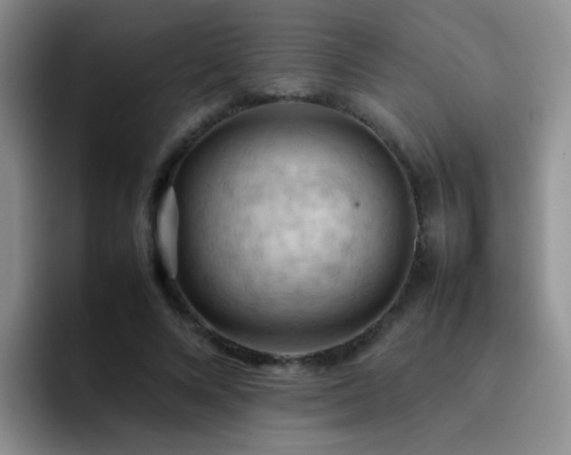 X0000092220688200709141045