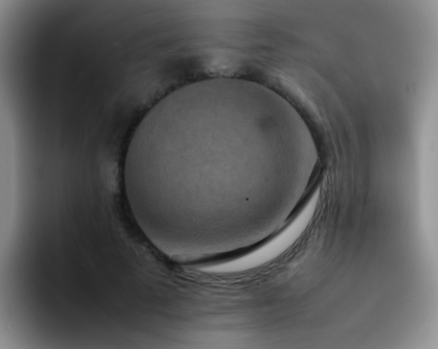 X0000092220689200709141045