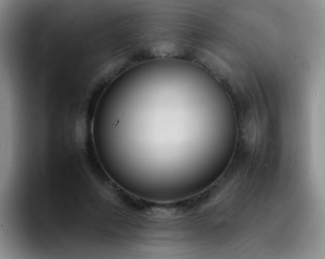 X0000092220690200709141045