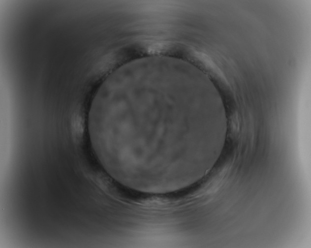 X0000092220691200709141045