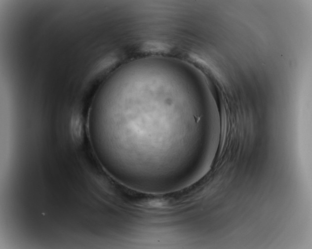 X0000092220692200709141045