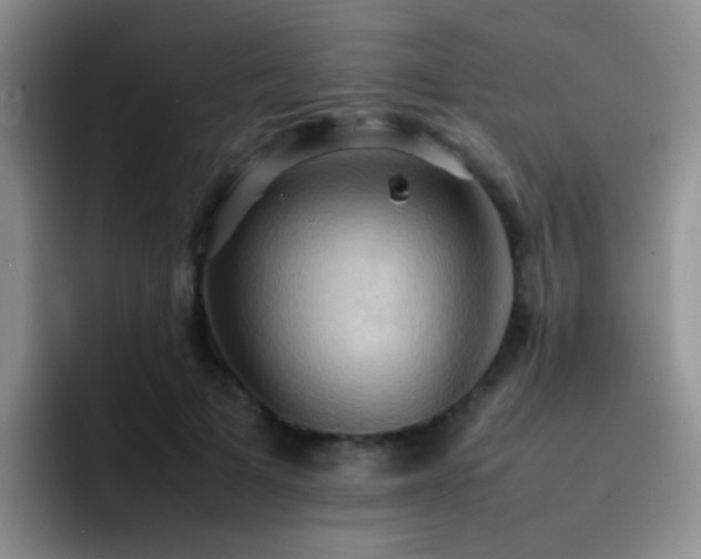 X0000092220697200709141045