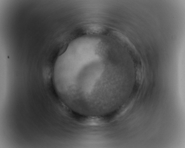 X0000092220701200709141045
