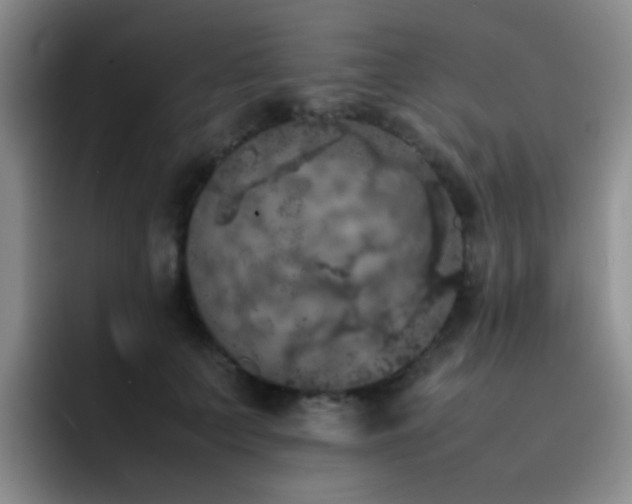 X0000092220703200709141045