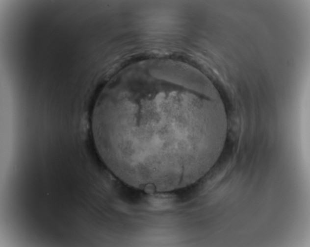 X0000092220707200709141045