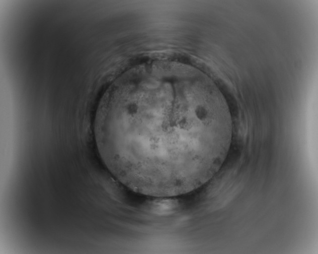 X0000092220711200709141045