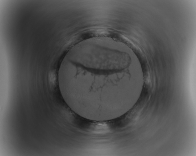 X0000092220715200709141045