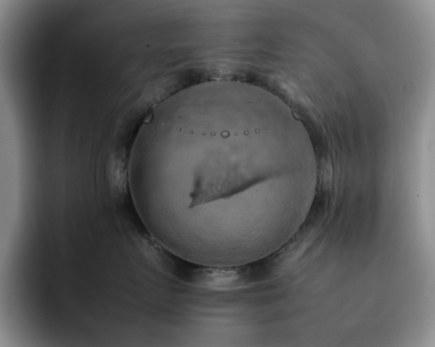 X0000092220719200709141044