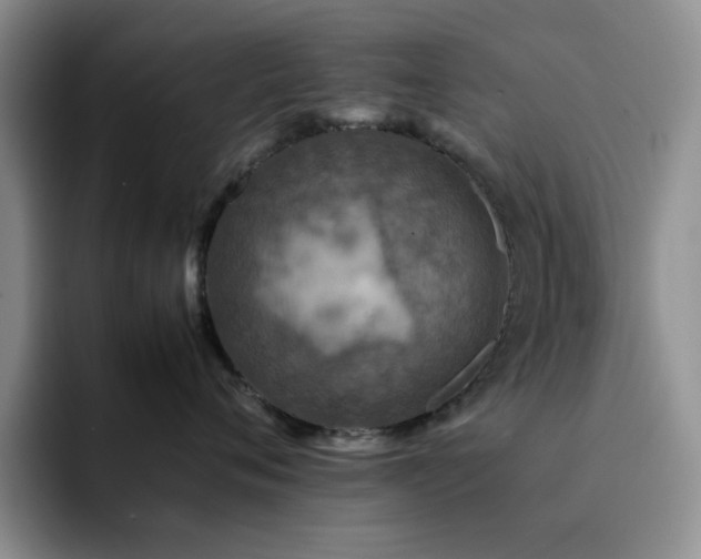 X0000092220720200709141044