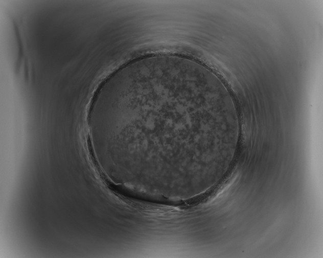 X0000092220721200709141044