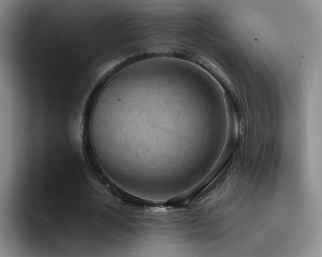 X0000092220724200709141044