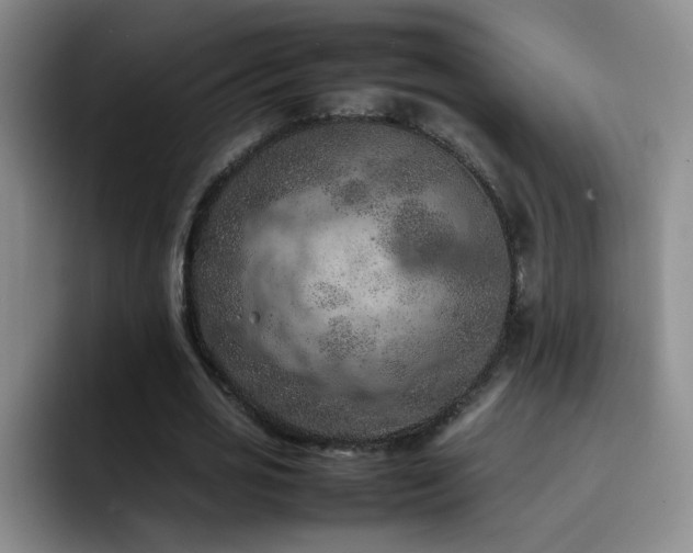 X0000092220725200709141044