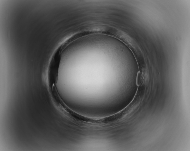 X0000092220726200709141044