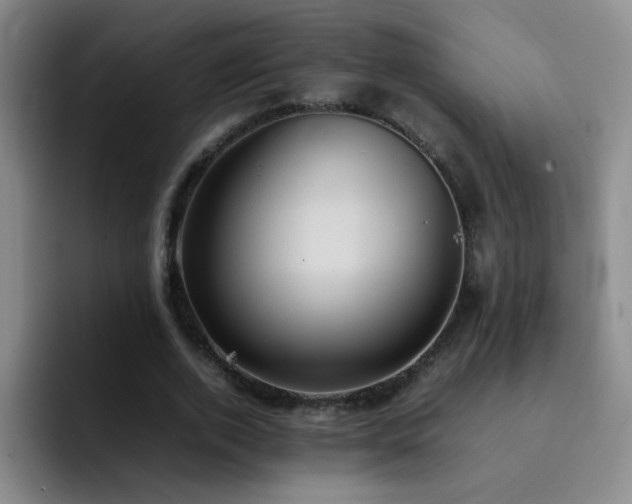 X0000092220728200709141044