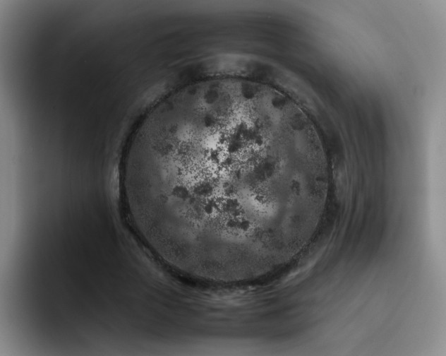 X0000092220729200709141044