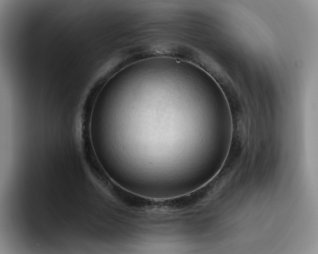 X0000092220730200709141044