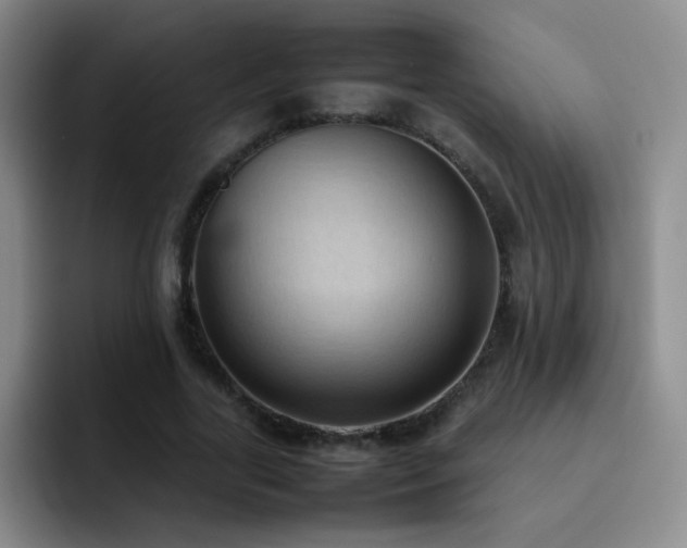 X0000092220731200709141044