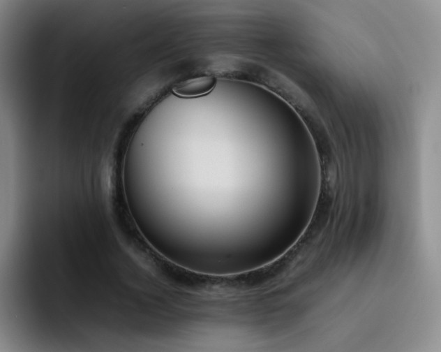 X0000092220732200709141044