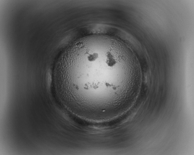 X0000092220733200709141044