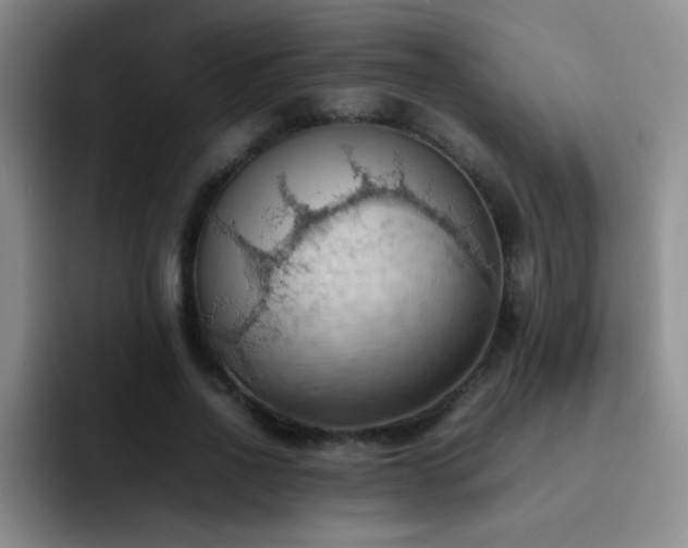 X0000092220734200709141044