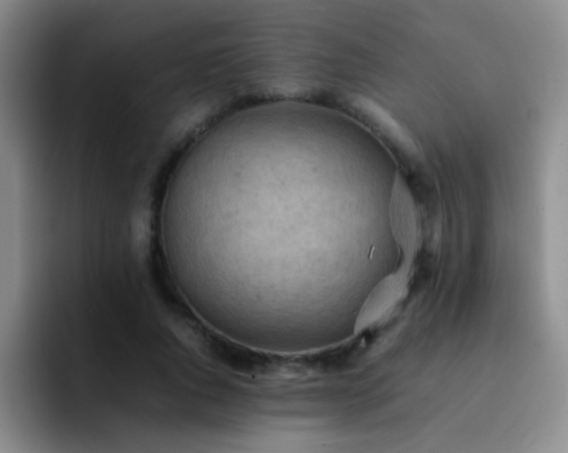 X0000092220736200709141044