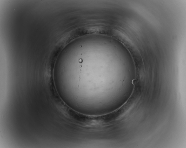 X0000092220737200709141044