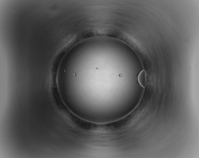 X0000092220738200709141044