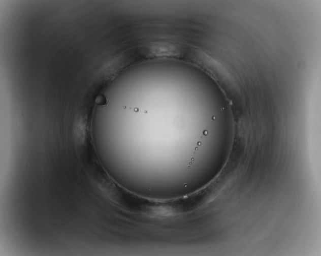 X0000092220741200709141044