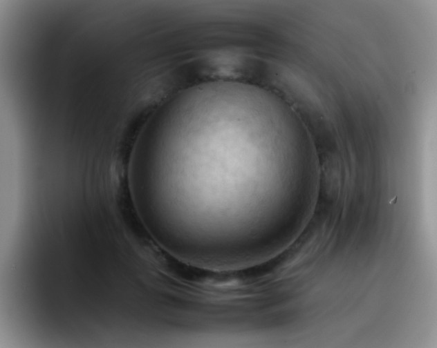 X0000092220747200709141044