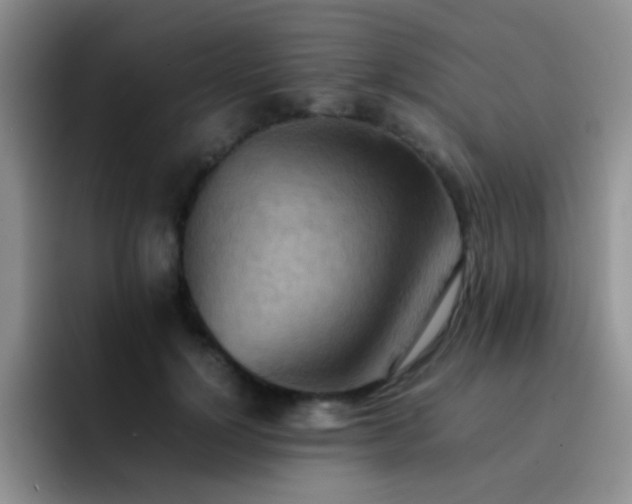 X0000092220748200709141044