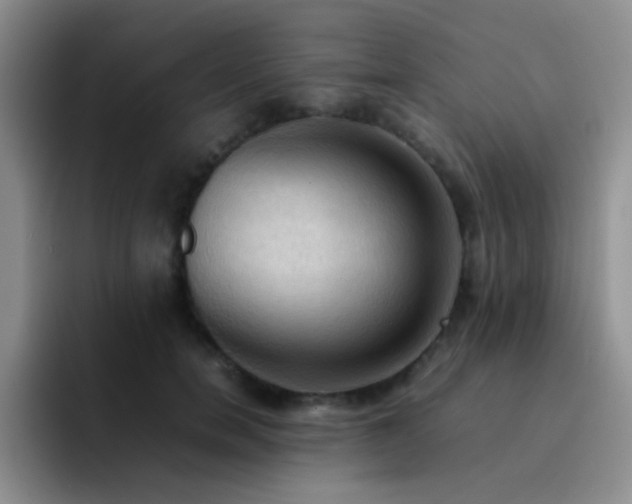 X0000092220750200709141044