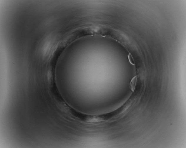 X0000092220754200709141044